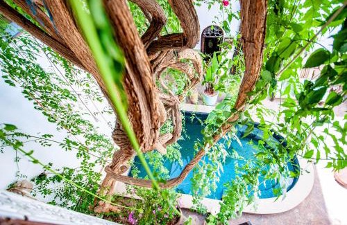 Sidi Ben Slimane El Jazouli House | Hotel & Spa Riad Dar El Aila