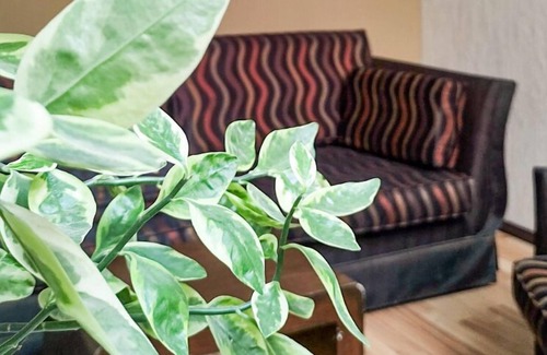 Leon Hotel | Hotel Terranova Zona Piel