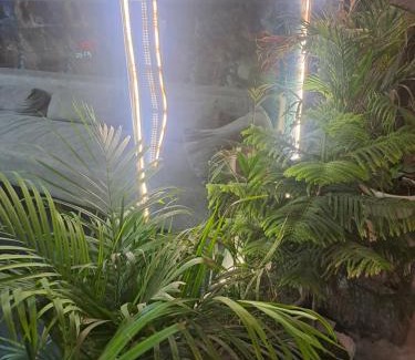 South West Hotel | Hotel The Caves Near IGI Airport