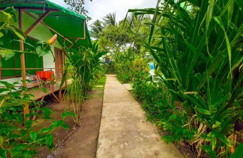 Tortuguero Hotel | Hotel Tortuguero Beachfront