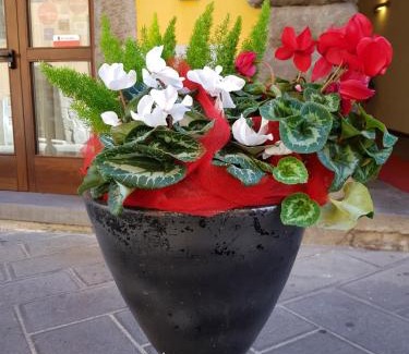 Montefiascone Hotel | Hotel Urbano V