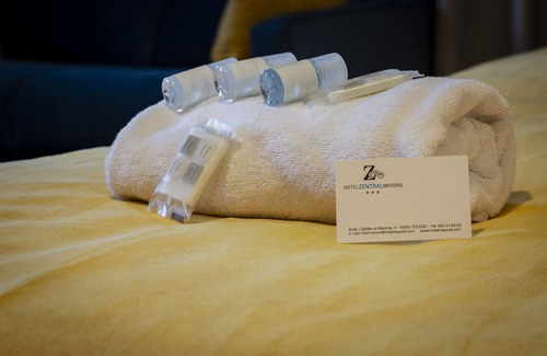 Province of Toledo Hotel | Hotel Zentral Mayoral