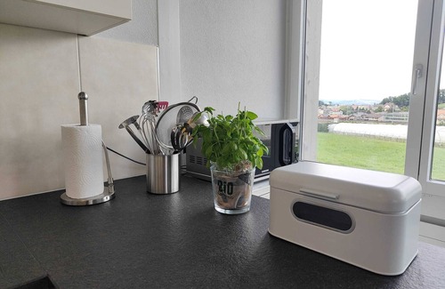 Spiez Villa | House 15 minutes to Interlaken I Sauna I Free Parking I Free Internet I Netflix