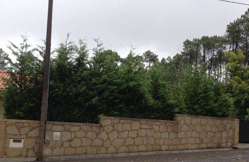 Venade House | House 3 kilometers of Caminha