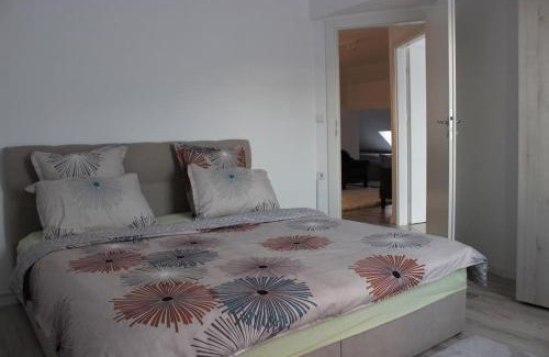 Brasov House | House in Brasov