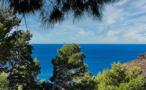 Sutomore House | House in the pines