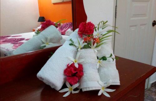 El Callejon Apartment | House Jardin Del Caribe