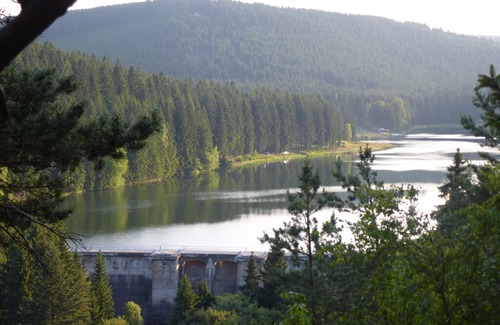 Frankenhain Apartment | House Lütsche - right on the lake in the Thuringian Forest