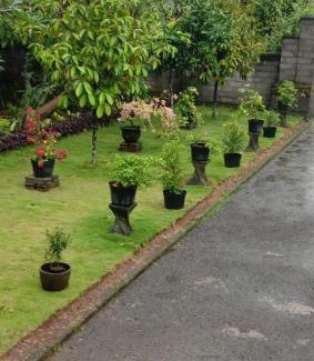 Sidemen Apartment | House market