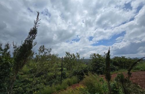 Medha Resort | House of Venkateshwara