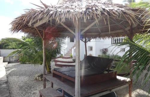Central Visayas House | House Rapunzel