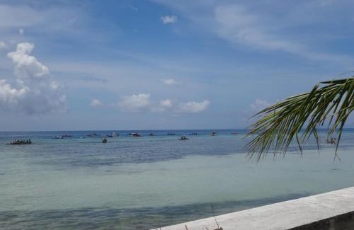 Central Visayas House | House Rapunzel