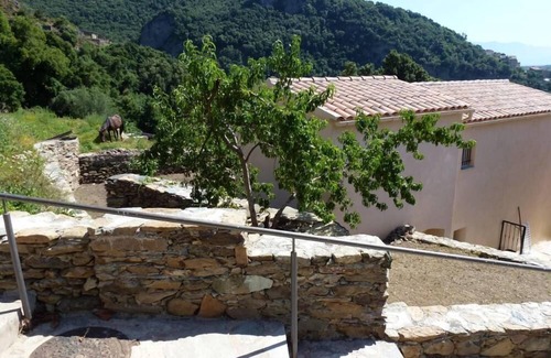 Braccolaccia House | House/Villa - Farinole