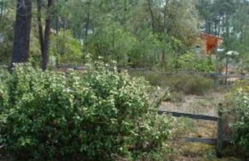 Maubuisson House | House / Villa - Maubuisson