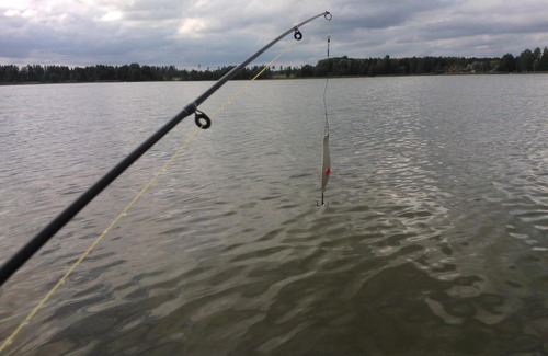 Rautalampi Cabin | House with private beach