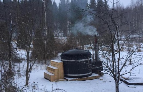 Rautalampi Cabin | House with private beach