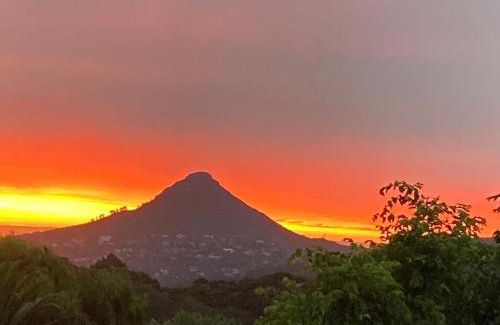 Constantia House | Houtkapperspoort-Cottage King Protea-19Constantia-Nek