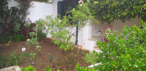 Sao Paulo House | Hub urbano e natureza próximo Formula 1