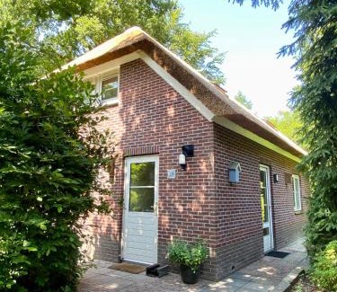 Municipality of Epe House | Huisje aan de Bosrand - Veluwe