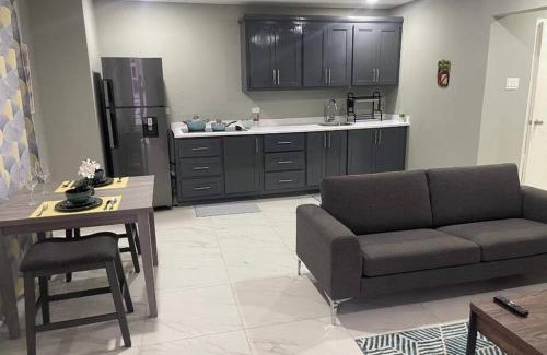 New Kingston Apartment | HUMMING BIRD VILLA