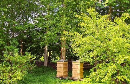 Hesel House | Huus de Freese 35224