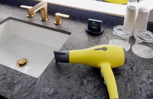 Rosemont Hotel | Hyatt Centric Chicago O'Hare