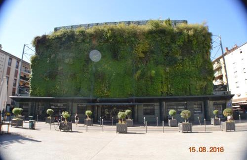 Avignon City Centre Apartment | Hyper Centre D'Avignon