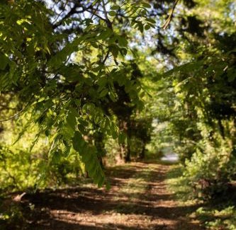 Borgo Priolo Bed & Breakfast | I Pesci de Boschi