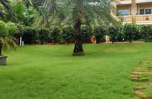 Calangute Resort | ibis Styles Goa Calangute Hotel