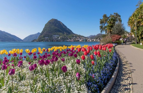 Lugano Apartment | Icon H 501 Suite Business