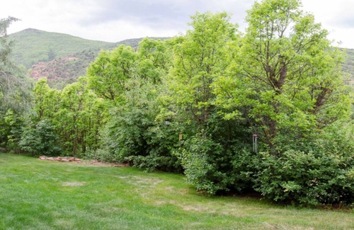 Carbondale Cottage | Ideal Mt location, quiet,authentic colorado,compact,just outside town&good food.
