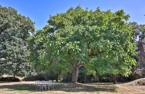 Pluvigner House | Idyllic Breton Countryside 5-Bed Farmhouse