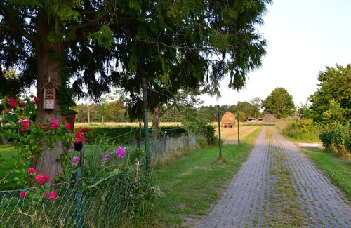 Berumbur Apartment | Idyllic location with lots of space around it