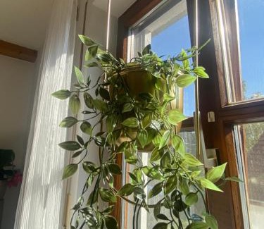 Burglengenfeld Apartment | Idyllische Ferienwohnungen in Mossendorf Blick zur Naab