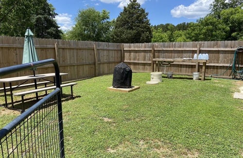 Elberton House | If Fishing, Hunting or just wanting to relax is your "thing", this is the place.