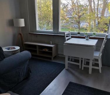 Kokkola Apartment | Ihana yksiö