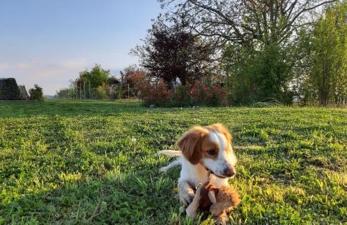 Cardona House | il Balcone sul Monferrato