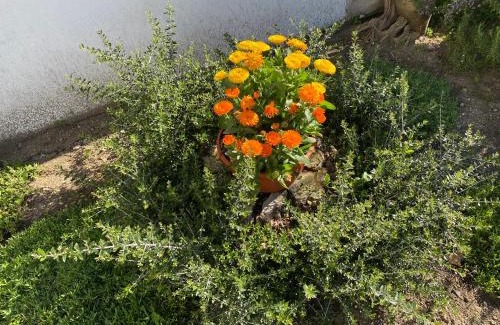 Castelletto Sopra Ticino Apartment | Il Cortile di Adele