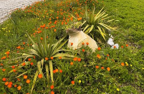 Lauria Bed & Breakfast | Il Giardino di Vincenzina B&B