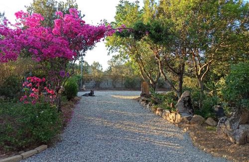 Villaputzu House | Il Ginepro