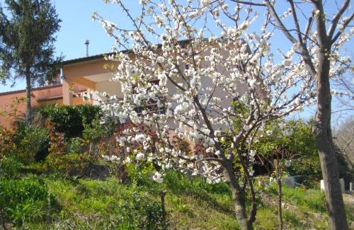 Bettolelle Bed & Breakfast | Il Rifugio dell'Ape Agriturismo