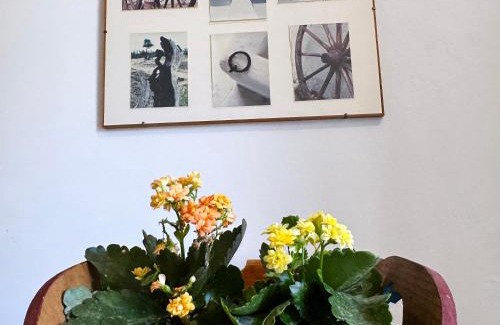 Municipio 2 Apartment | Il Sentiero