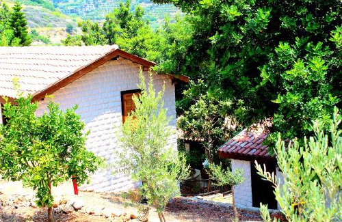 Alanya Hotel | Illusion Beach & ClubHotel - Adults Only