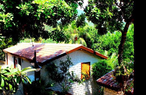 Alanya Hotel | Illusion Beach & ClubHotel - Adults Only