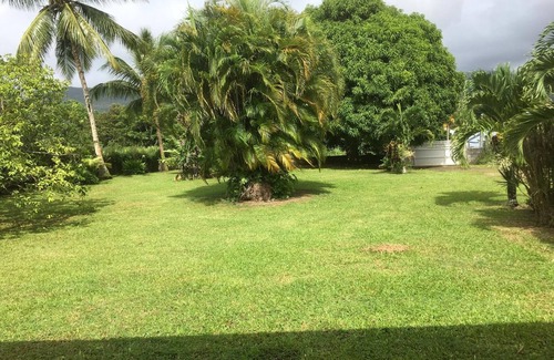 Lamentin House | In a corner of greenery