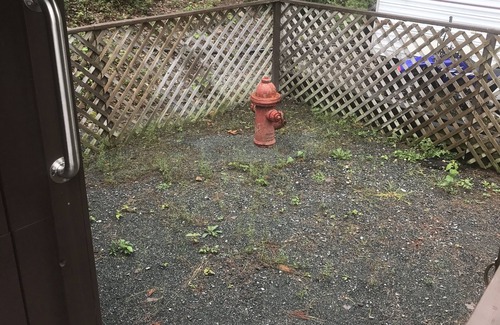 Bar Harbor Apartment | In the heart of ACADIA NATIONAL PARK. 1 mi. from Eagle Lake KIDS & PETS WELCOME!