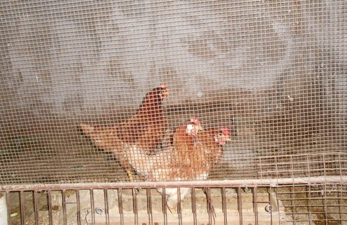 Monte San Pietrangeli Apartment | IN THE SHADOW OF THREE GIANTS 2