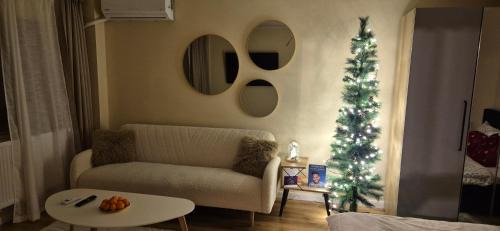 Aviatiei Apartment | Ina Herastrau