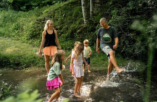 Bryson City House | Incredible Mountain Cabin with Private Creek and Hot Tub Allowing Outstanding Views in Bryson City