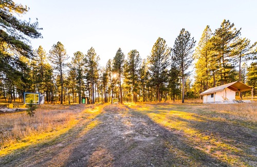 Custer Cabin | Industrial micro cabin in the forest